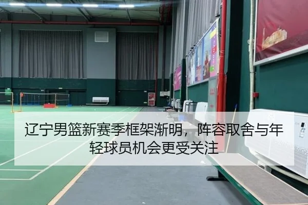 辽宁男篮新赛季框架渐明，阵容取舍与年轻球员机会更受关注